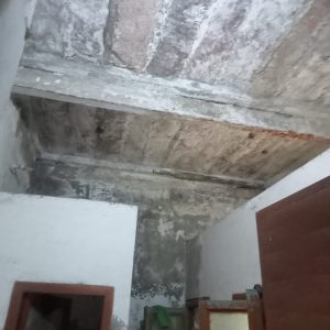 WhatsApp Image 2025-12-21 at 1.07.35 PM